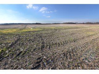 Property photo 34 - MAJOR, HIGH QUALITY LAND AUCTION - 346+/- ACRES OFFERED IN 8 TRACTS IN JACKSON COUNTY, INDIANA